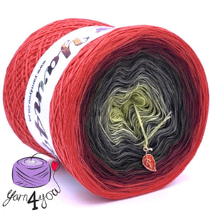 Colour Gradient Yarn Cake Classic - Ecuador - New