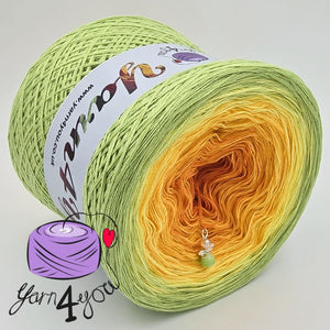 Colour Gradient Yarn Cake Classic - Alexandria - New