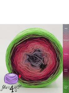 Colour Gradient Yarn Cake Classic - Happy Berry - CA003